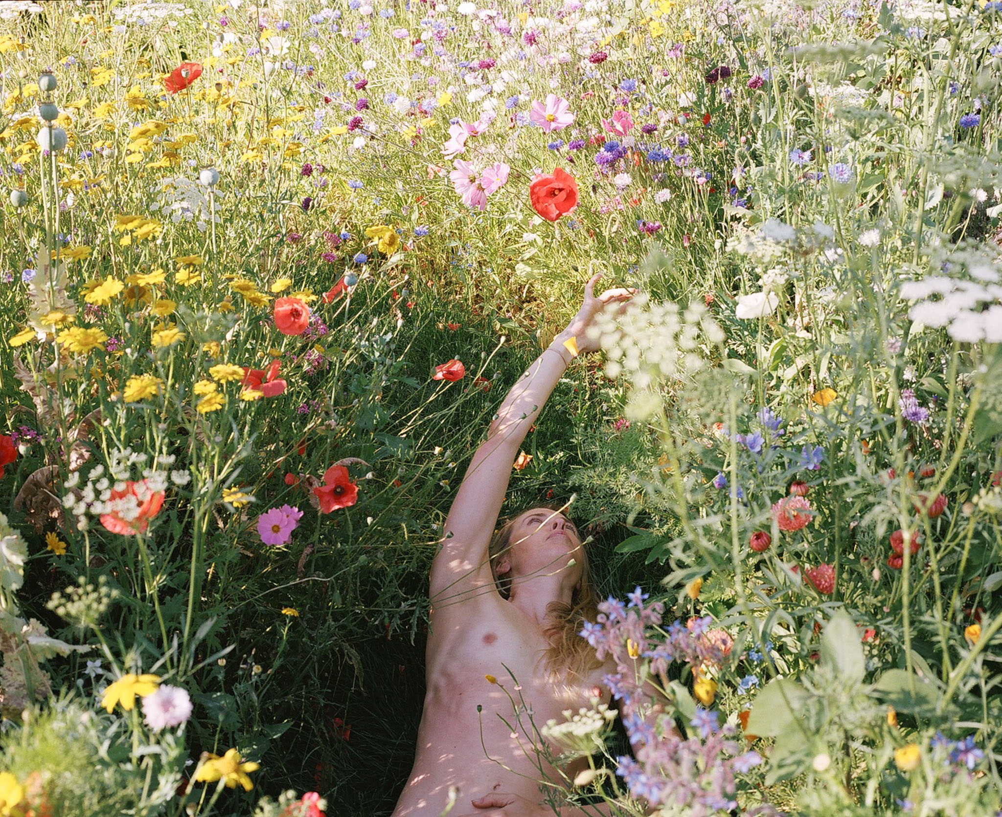 Gildon &emdash; The Garden