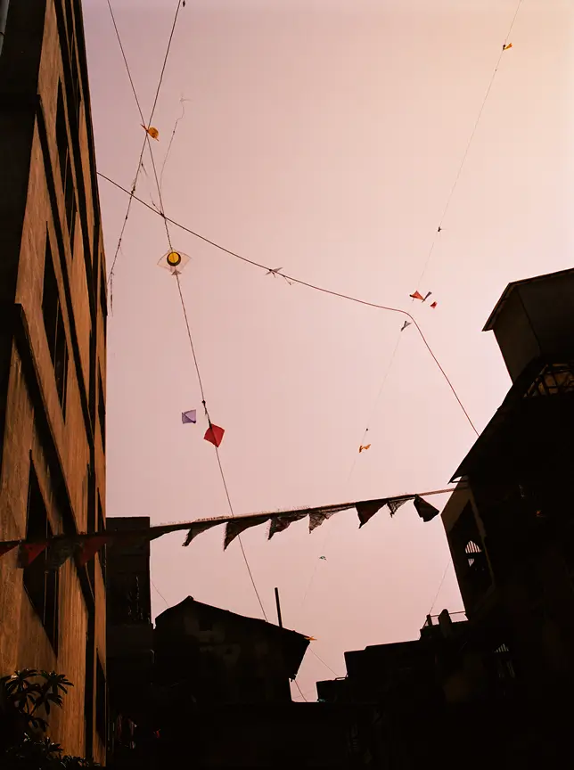 Gildon &emdash; The Garden at Stills Gallery Edinburgh