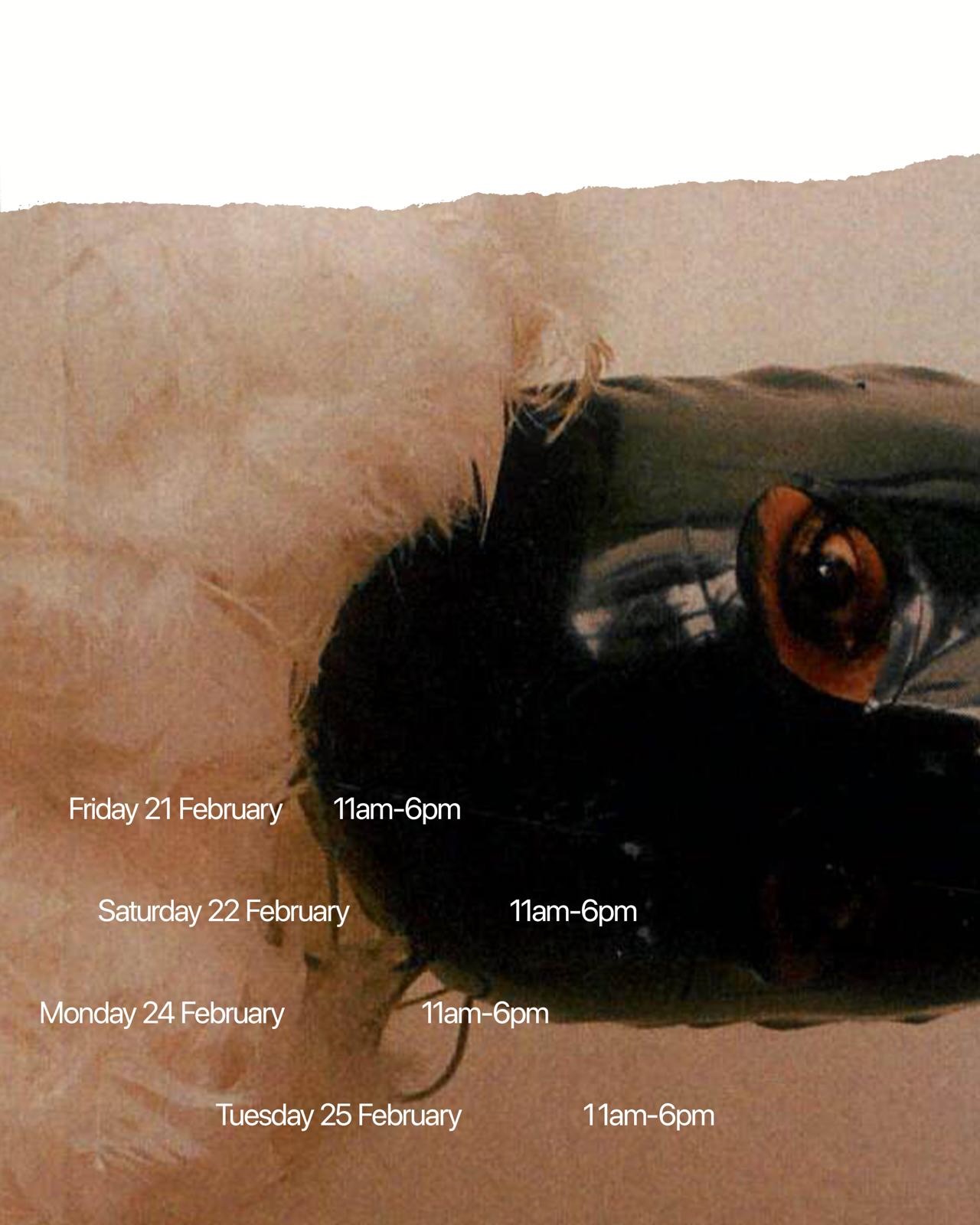 Gildon &emdash; 50 Years of CSM Fashion Communication