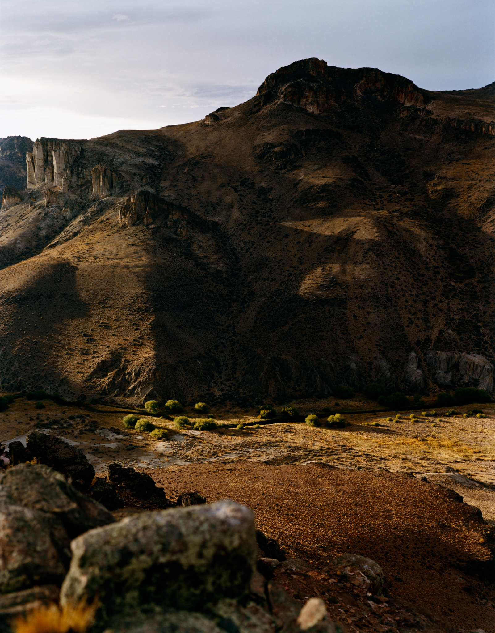 Gildon &emdash; Nature