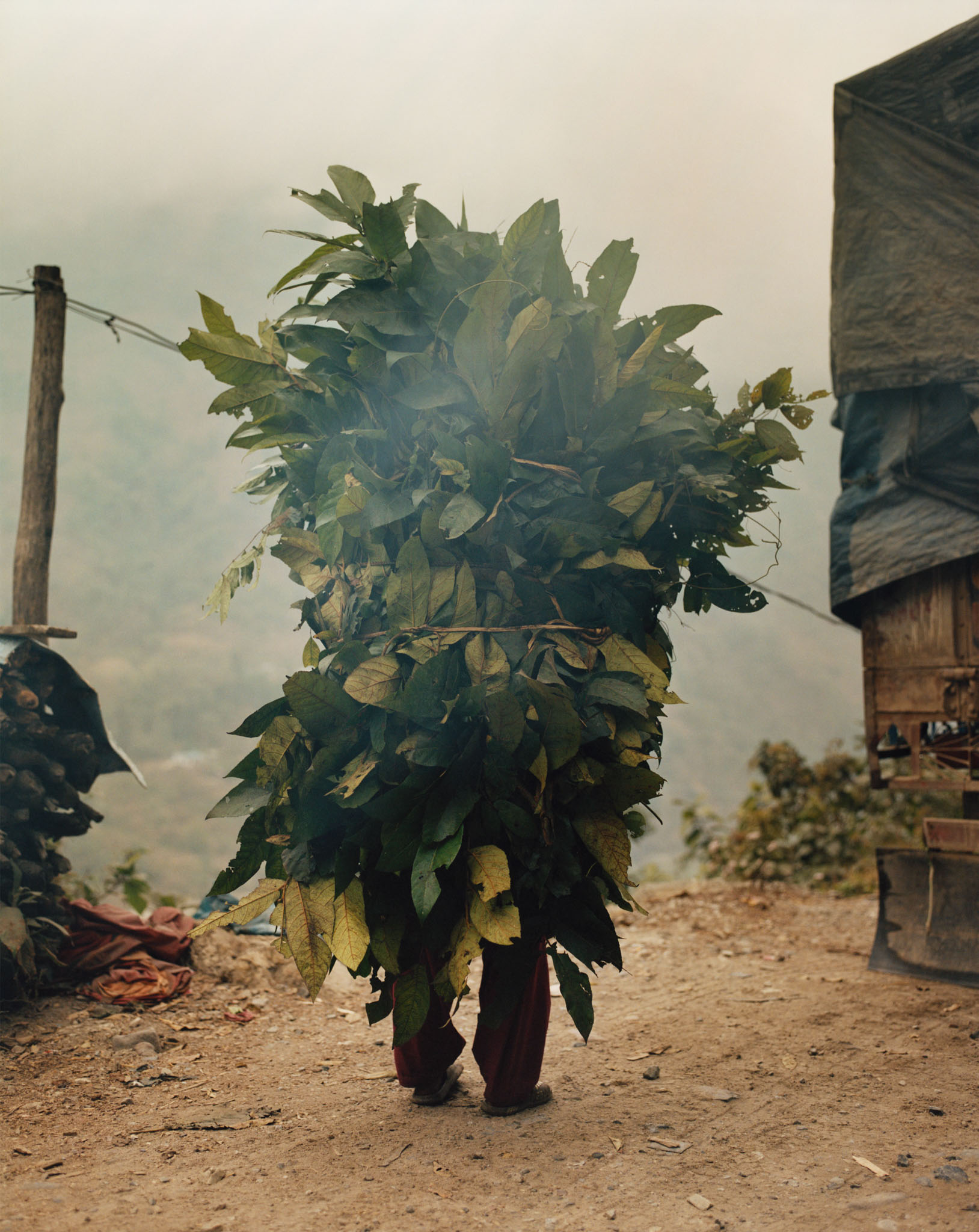 Gildon &emdash; Regenerative Farming for Beyond Noise