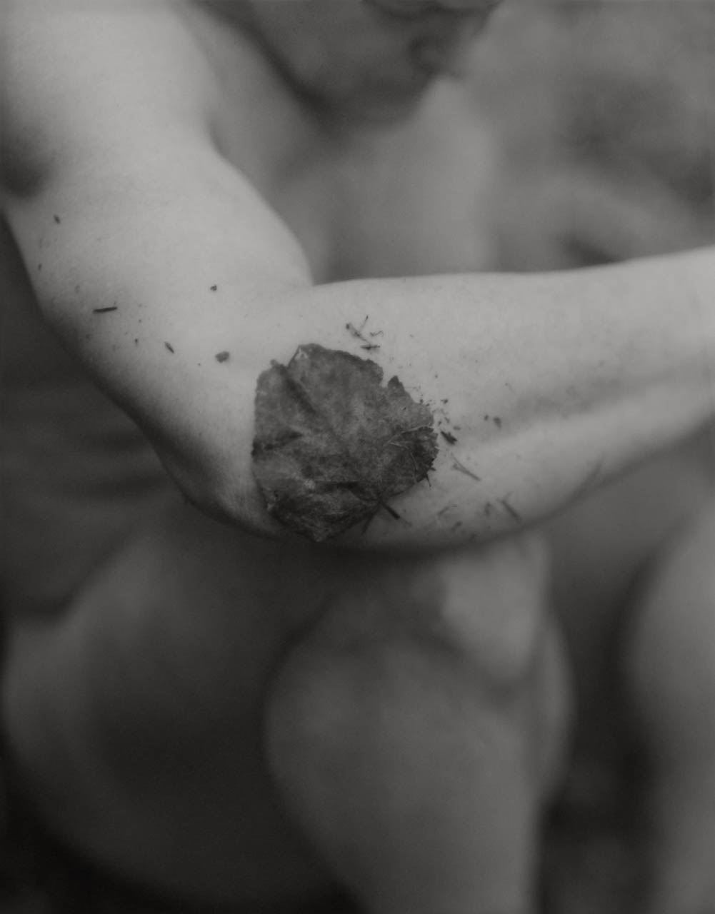 Gildon &emdash; As We Wait