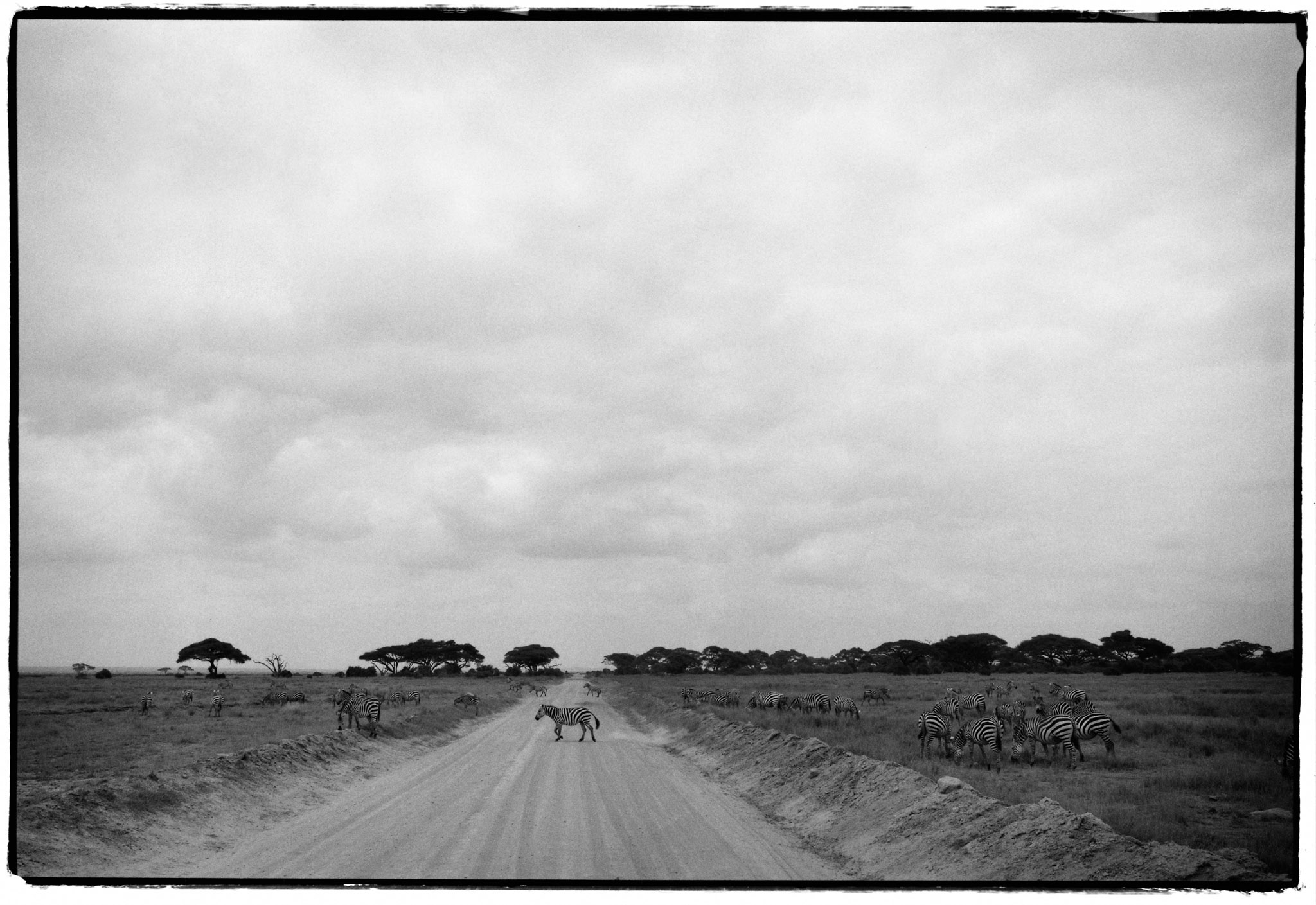 Gildon &emdash; Beyond Noise