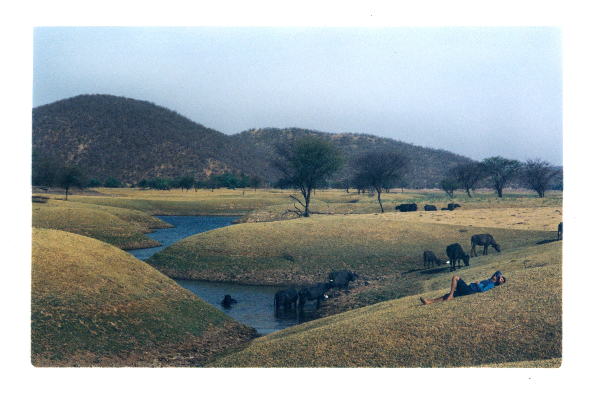 Gildon &emdash; RKive City for Atmos Magazine