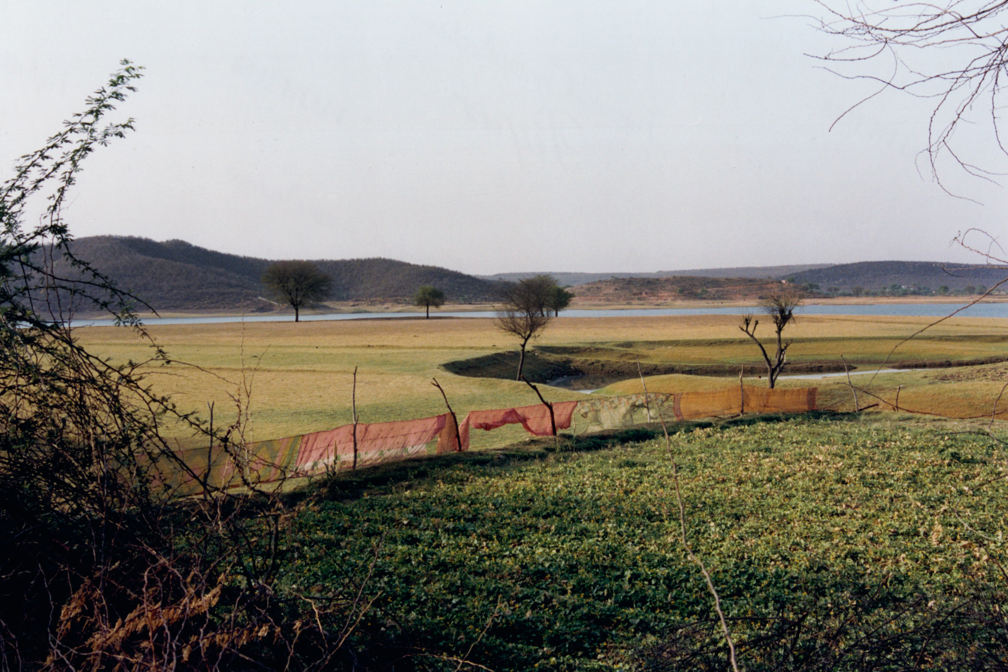 Gildon &emdash; RKive City for Atmos Magazine