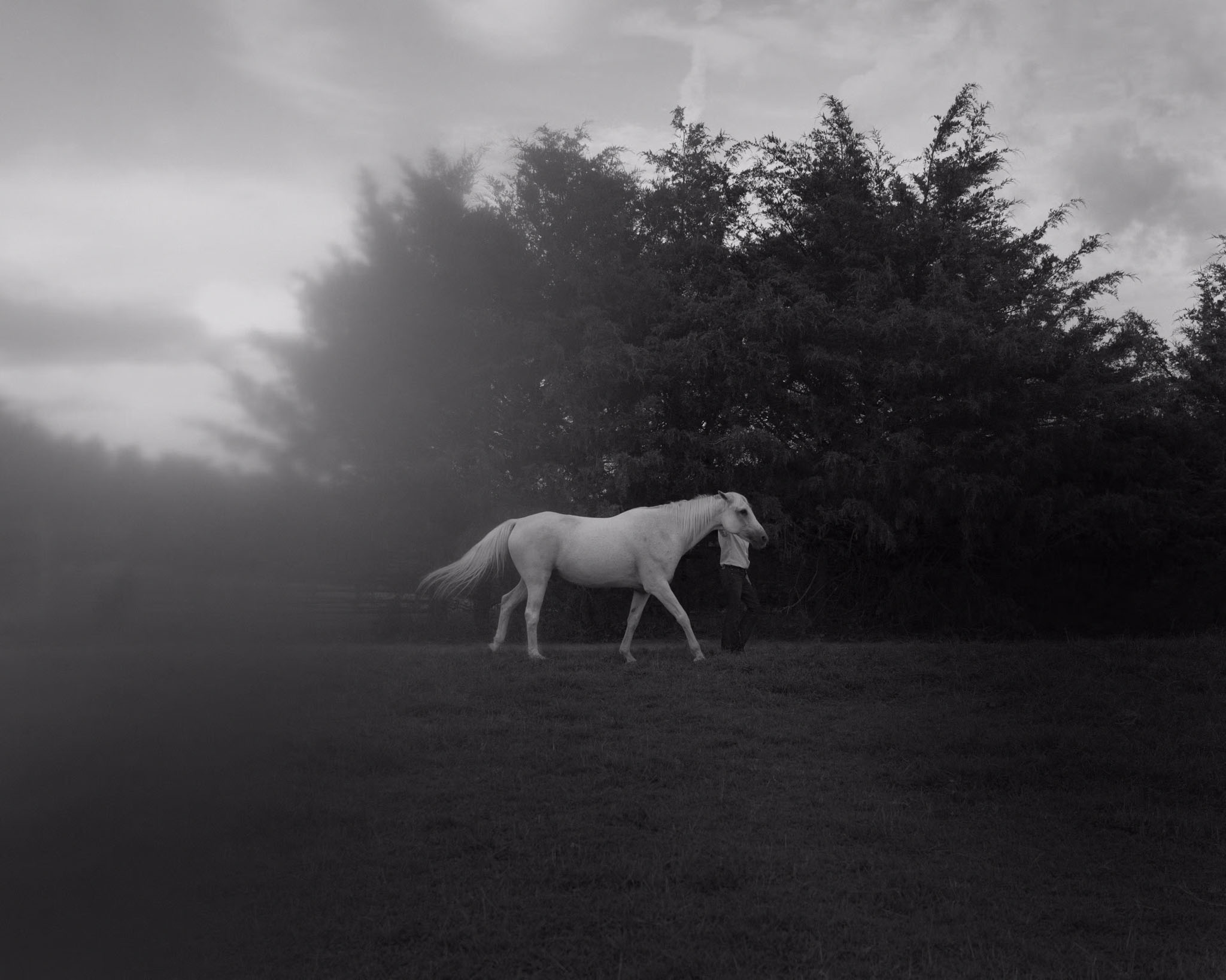 Gildon &emdash; Sally Mann for The New York Times